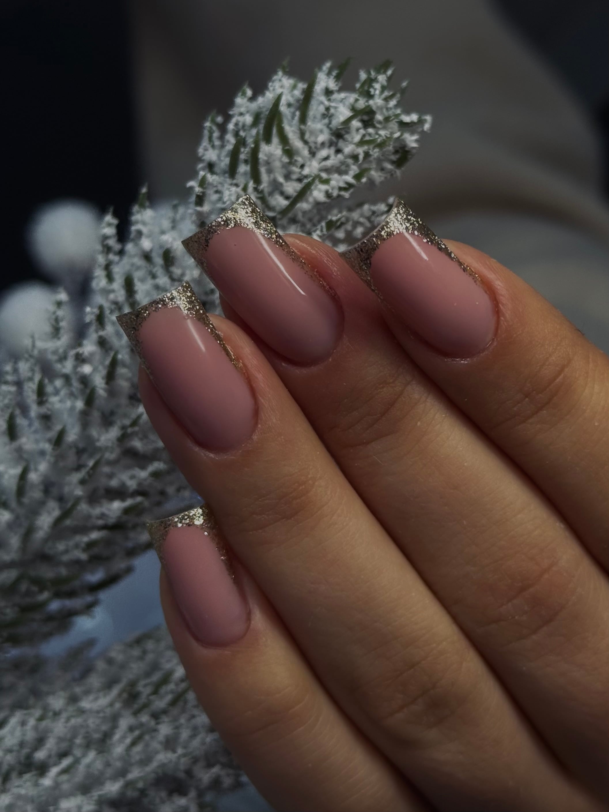 Французький манікюр френч блискучий, фото - Майстер манікюру Діана Одарюк