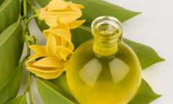  Массажист Ігор Ивано-Франковск