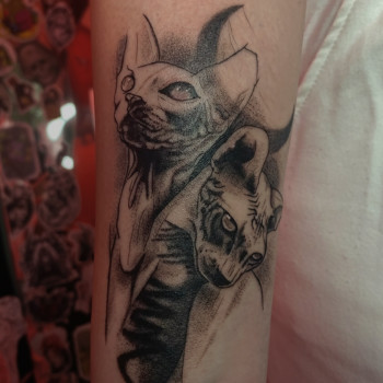 Фото с портфолио Kristina Plakhotnyaya