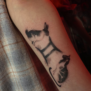 Фото с портфолио Kristina Plakhotnyaya