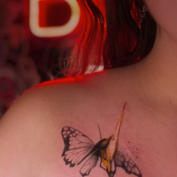 Фото с портфолио Kristina Plakhotnyaya