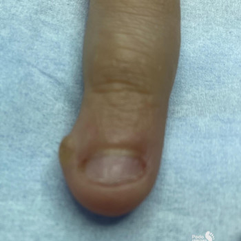 Фото с портфолио Ольга Живець