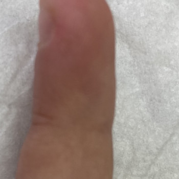 Фото с портфолио Ольга Живець