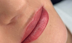  Майстер татуажу Дана Вінниця