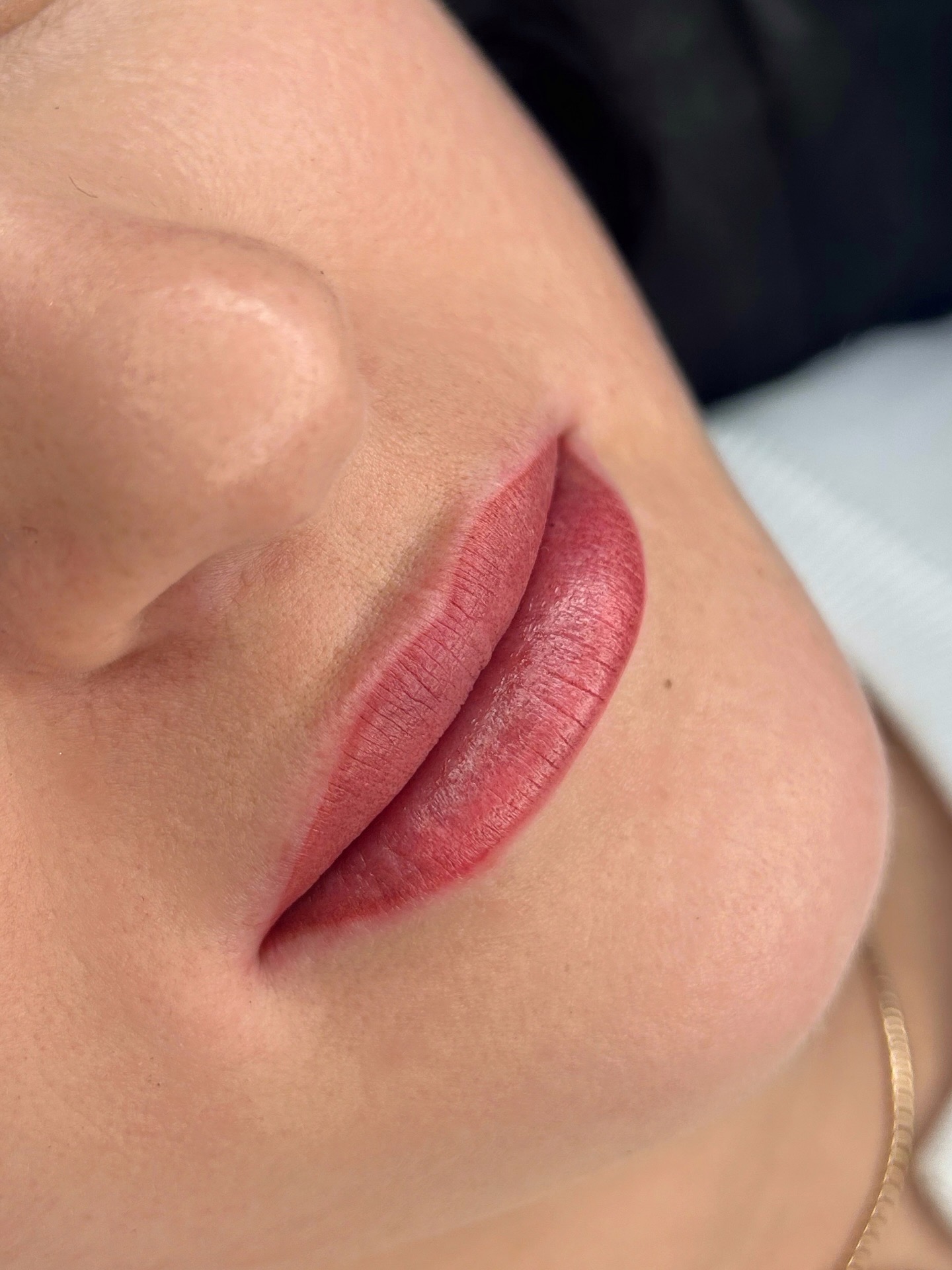 Татуаж губ перманентний макіяж 3D, фото - Майстер татуажу Дана