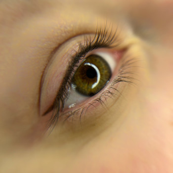 Фото с портфолио Дана 