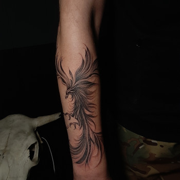 Фото с портфолио Катя Пошелюжная