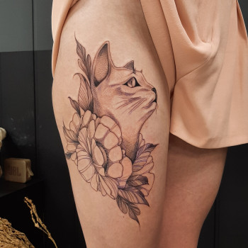 Тату кіт