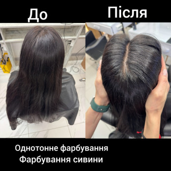 Фарбуваннясивини