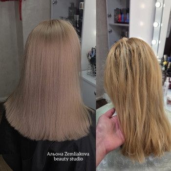 Фото с портфолио Альона Землякова