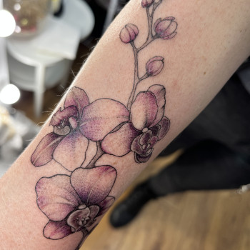 Фото с портфолио Наталія Семенцова