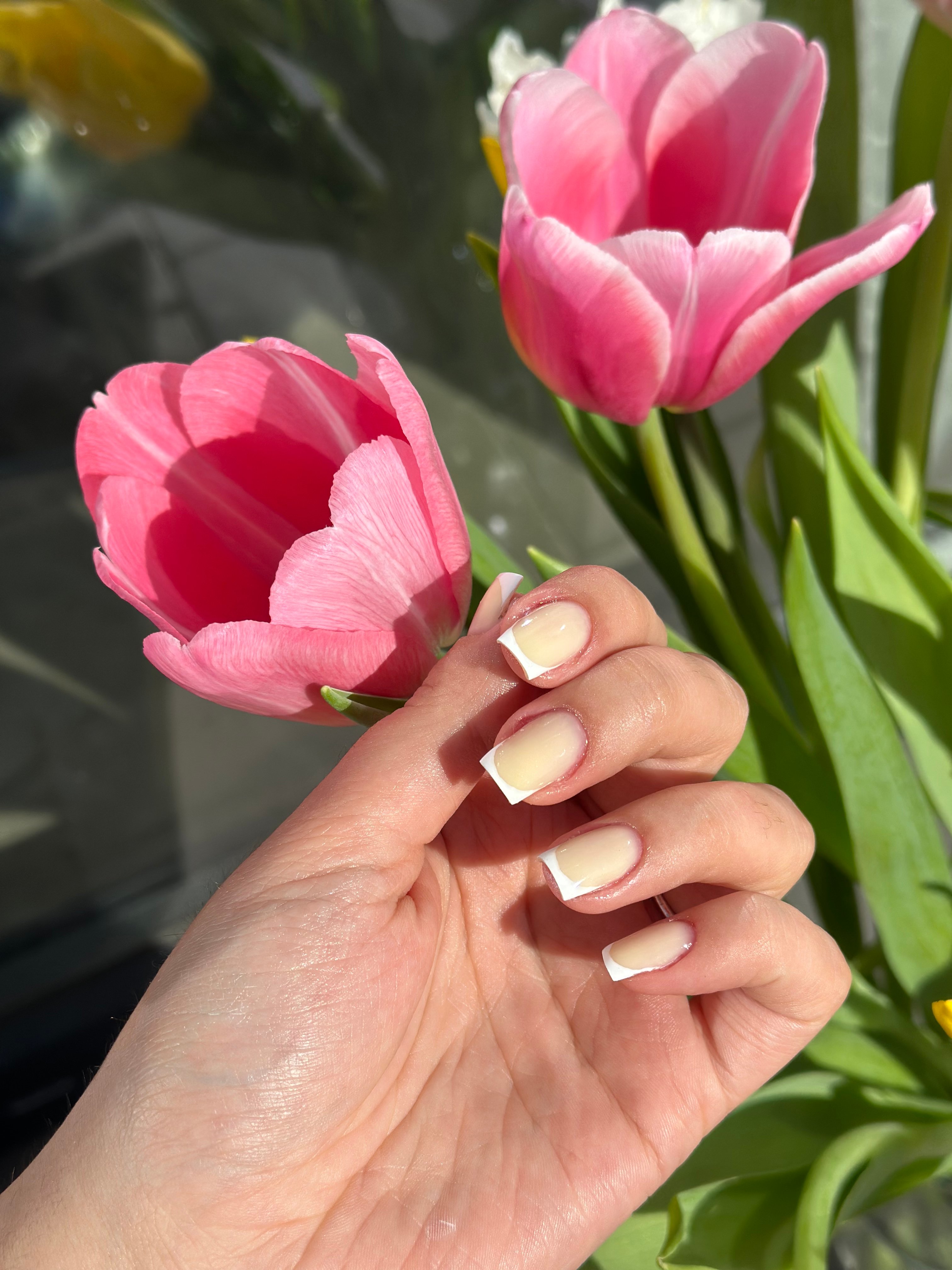 Нежный маникюр французский молочный, фото - Мастер маникюра София Клименко