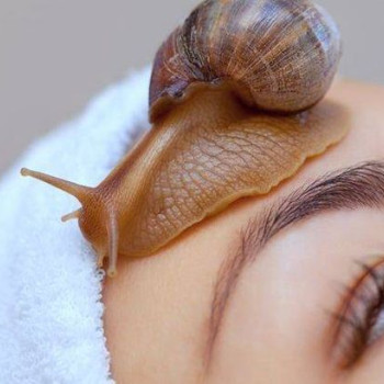 Фото с портфолио Наталя Міріченко