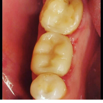 Фото с портфолио Христина Товарянська