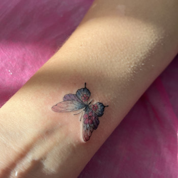 Фото с портфолио Наталія Семенцова