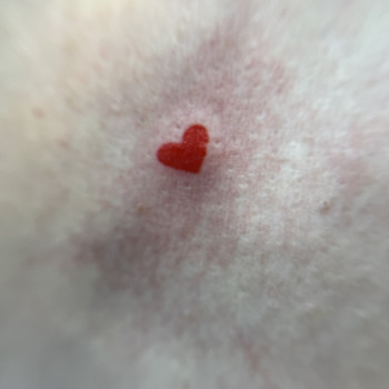 Фото с портфолио Наталія Семенцова