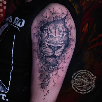 Фото с портфолио Алёна Иванник