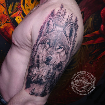 Фото с портфолио Алёна Иванник