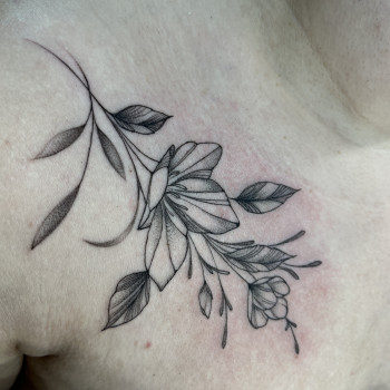 Фото с портфолио Наталія Семенцова