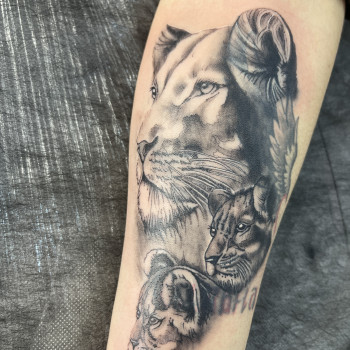 Фото с портфолио Наталія Семенцова