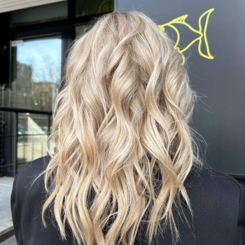 Фото с портфолио Fargo