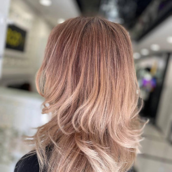 Фото с портфолио Fargo