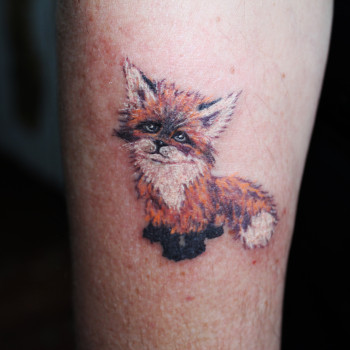 Фото с портфолио Сергій Шевченко