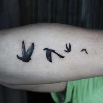 Фото с портфолио Сергей Шевченко