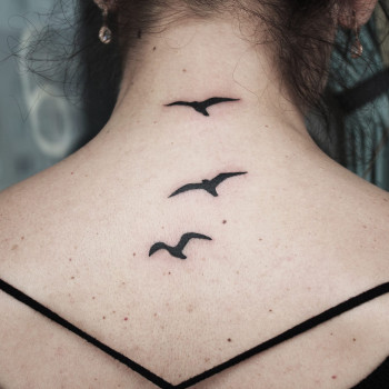 Фото с портфолио Сергей Шевченко