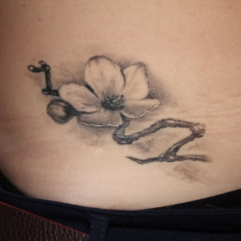 Фото с портфолио Сергей Шевченко