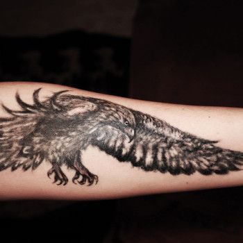 Фото с портфолио Сергей Шевченко