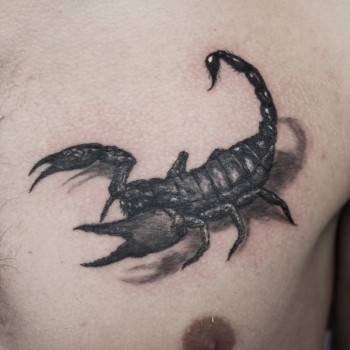 Фото с портфолио Сергей Шевченко