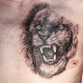 Фото с портфолио Сергей Шевченко