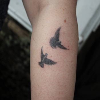 Фото с портфолио Сергей Шевченко