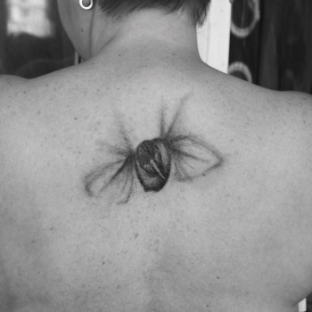 Фото с портфолио Сергей Шевченко