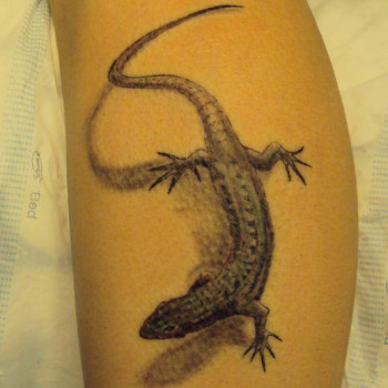 Фото с портфолио Сергей Шевченко