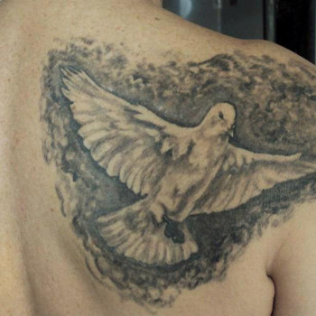 Фото с портфолио Сергей Шевченко