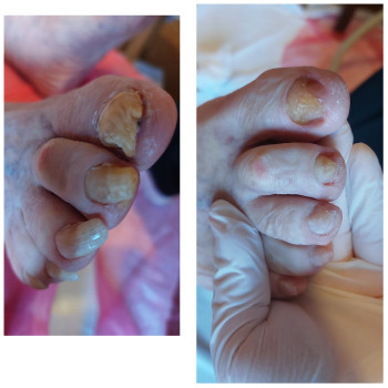 Фото с портфолио Ірина Василенко