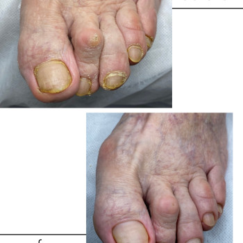 Фото с портфолио Євгенія Токмакова