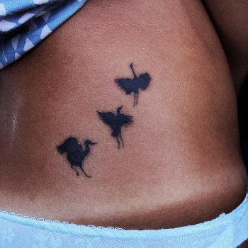 Фото с портфолио Сергей Шевченко