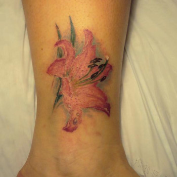 Фото с портфолио Сергей Шевченко