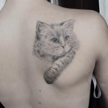 Фото с портфолио Сергей Шевченко