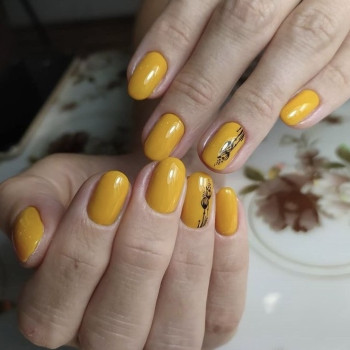 Фото с портфолио Анжелика Догоренко