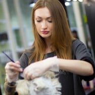 Перукар Анна Олейникова на Barb.ua