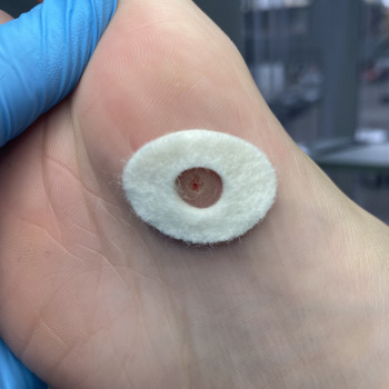 Фото с портфолио Євгенія Токмакова