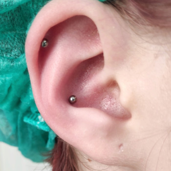 Пірсинг Конч