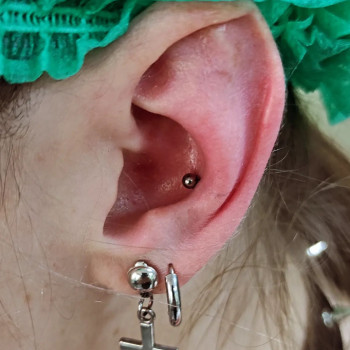Пірсинг Конч