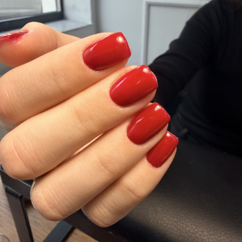 Фото с портфолио Світлана Молочинська