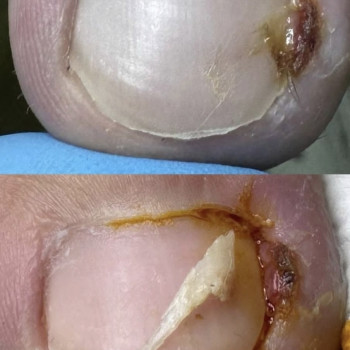 Фото с портфолио Елена Коваль