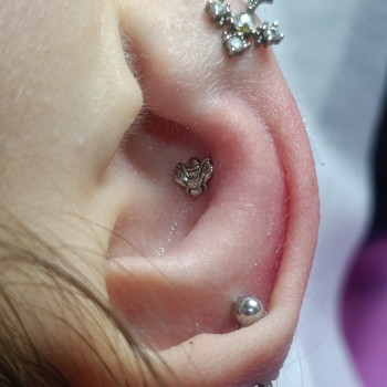 Фото с портфолио Марина Шугай